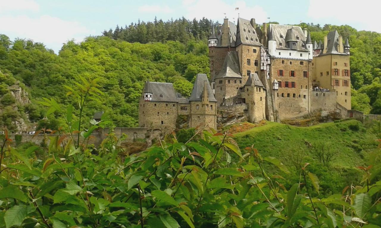 Ferienhaus Am Flaumbach Blankenrath エクステリア 写真